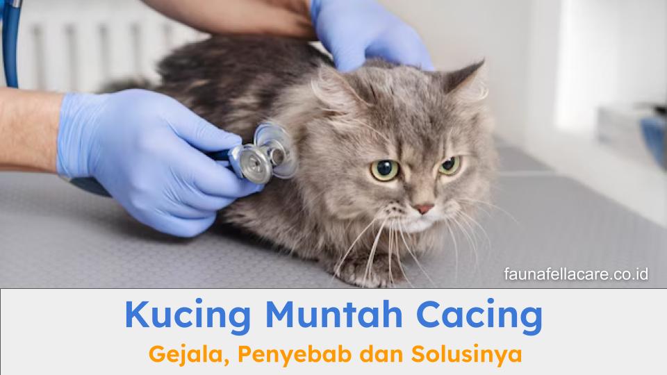 Kucing muntah cacing bisa karena berbagai hal dan dibutuhkan perawatan yang tepat untuk menghilangkan cacing dari tubuh kucing.