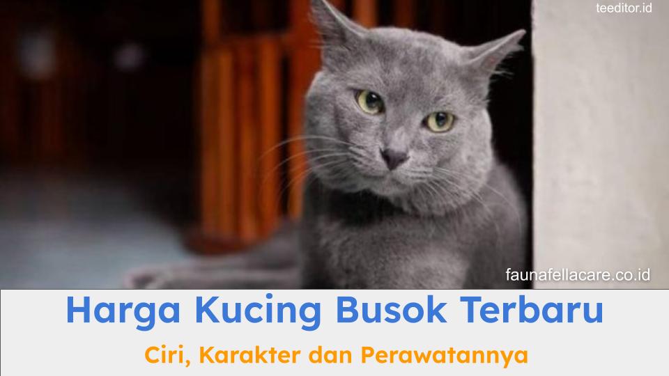 Harga kucing busok bisa sangat bervariasi, mulai dari ratusan ribu hingga jutaan rupiah.