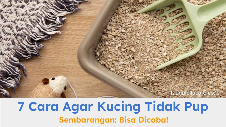 Cara agar kucing tidak pup sembarangan sangat penting agar kucing mulai terlatih dalam membuang kotoran.